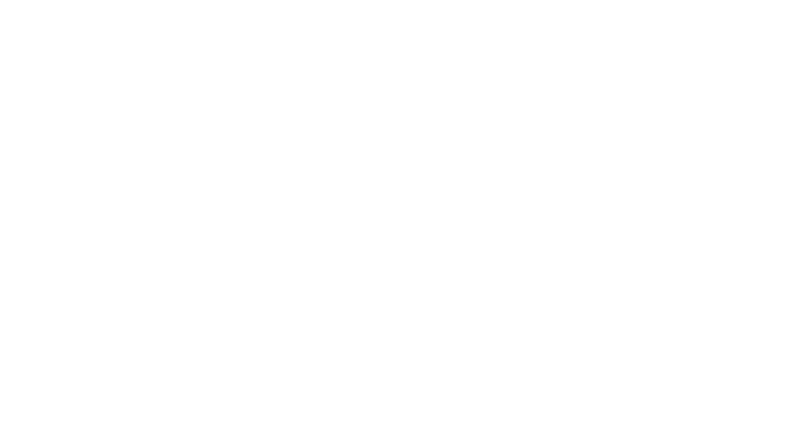 Grupo Saga